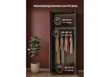 Шкаф Филеста 2-ств. графит 664897