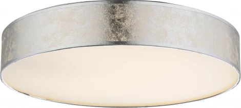 Потолочный светильник Globo Amy I 15188D2