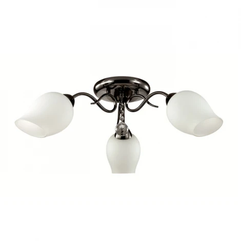 Потолочная люстра Lumion Rondina 3076/3C