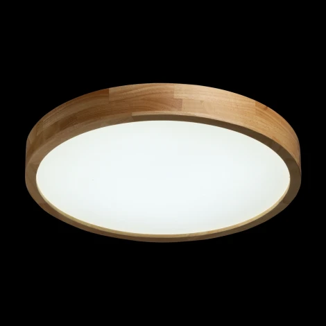 Потолочный светильник круглый светодиодный De City Норден 660015501