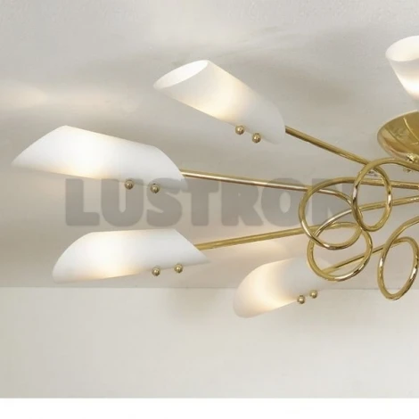 Потолочная люстра Lussole Belluno LSF-6903-10