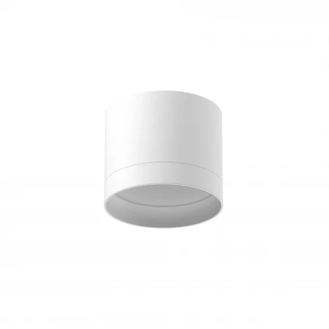 Потолочный светильник Nuvolt Bein LDL-005W