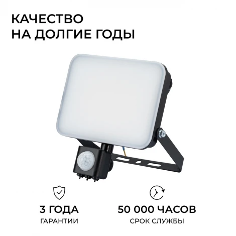Прожектор уличный светодиодный с датчиком движения Apeyron 05-54