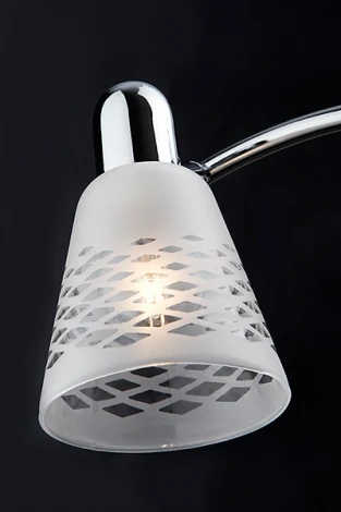 Спот Eurosvet Organic 20053/2 хром