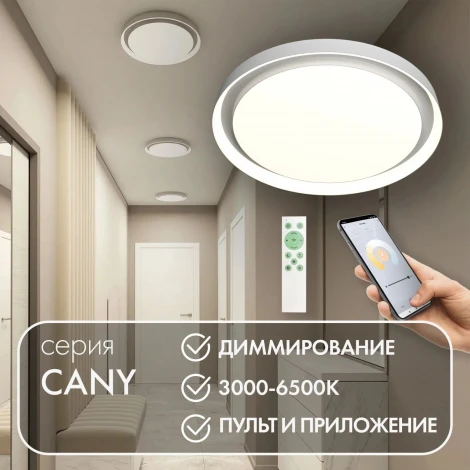 Потолочный светильник круглый Denkirs Cany DK6516-WH (регулировка яркости, LED, 220V, пульт управления, умный дом - Алиса, Smart Life, круглые)