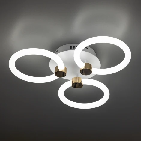 Потолочная люстра светодиодная с ДУ Ritter Ottimo 51611 2
