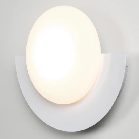 Настенный светильник LED Lightstar Erica 609636 (220V, круглые)