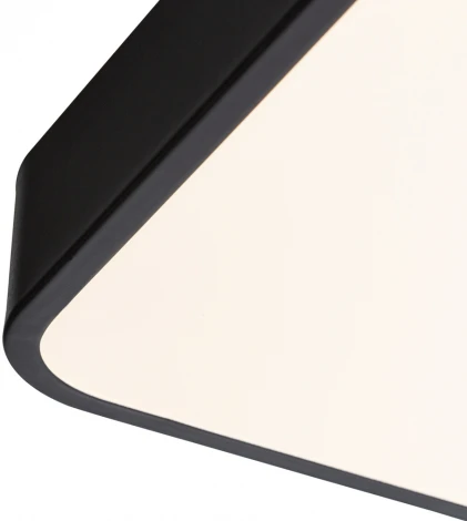 Потолочный светильник Arte Lamp Scena A2669PL-1BK (LED, 220V, пульт управления)