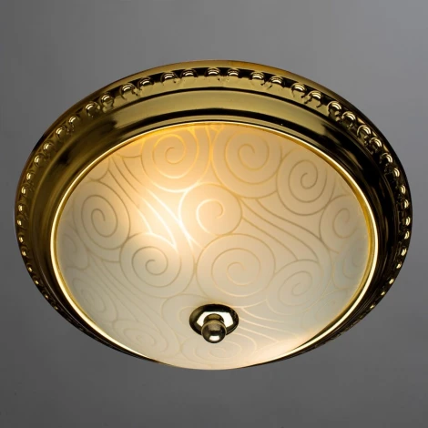 Потолочный светильник Arte Lamp Alta A3013PL-2GO