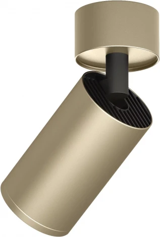 Накладной светильник Denkirs Tube DK2029-GG (220V, круглые)