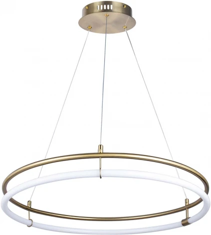 Подвесной светильник Favourite Girth 4629-6P (LED, 220V, на тросе, кольцо)