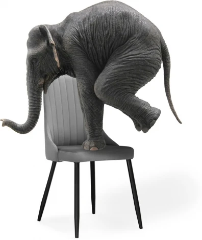 Стул на металлокаркасе Кора (Кора темно-серый / черный) Notta арт.517127