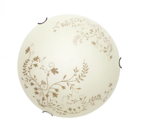 Настенно-потолочный светильник Arte Lamp Ornament A4920PL-1CC