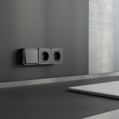 Выключатель одноклавишный Gallant Werkel W5010034 (черный с серебром)