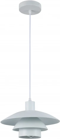 Подвесной светильник Rivoli Xenobia 5097-201 (220V, на проводе)