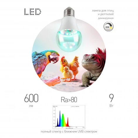 Лампа для птиц и рептилий с UVB спектром ЭРА FITO-Dim 9W Chicken E27