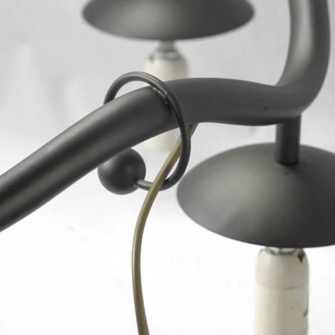 Потолочная люстра Lussole Lgo Roosevelt LSP-0212 (220V, подсвечник, свеча, IP21)