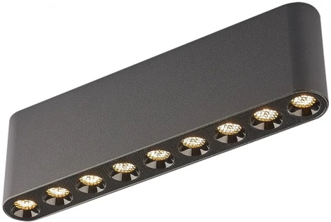 Потолочный линейный светильник Odeon Light Small 7092/21CL черный/металл/акрил LED 21W 3000K 220V