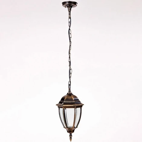 Уличный светильник подвесной Oasis Light 91205S Gb (220V, на цепи, IP44)