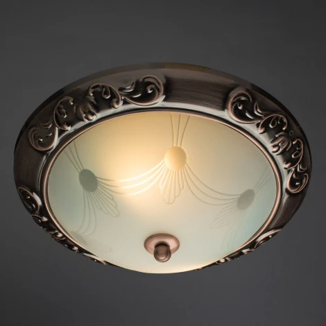 Потолочный светильник Arte Lamp Alta A3014PL-2AC