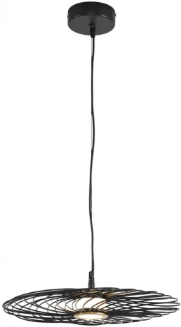 Подвесной светильник Lumion Camomile 8379/9L черный, металл/акрил LED 9W 3000K 220V (на проводе)