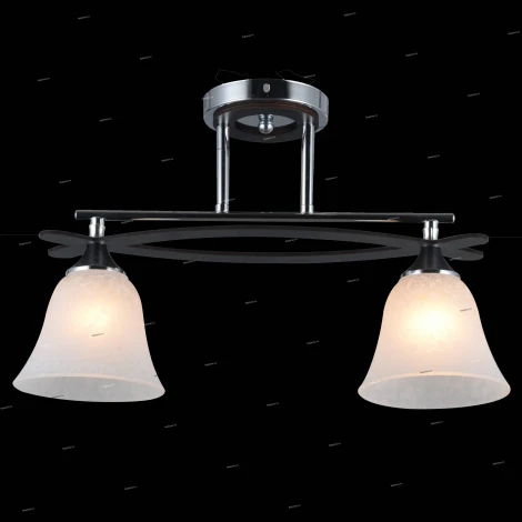 Потолочная люстра J-Light Nippa 1527/2C