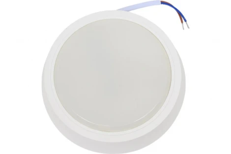 Настенно-потолочный светильник светодиодный Gauss 193411212B