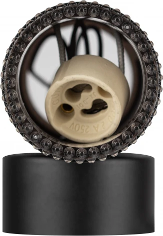 Настенный светильник ЭРА WL50 BK/BK (220V)