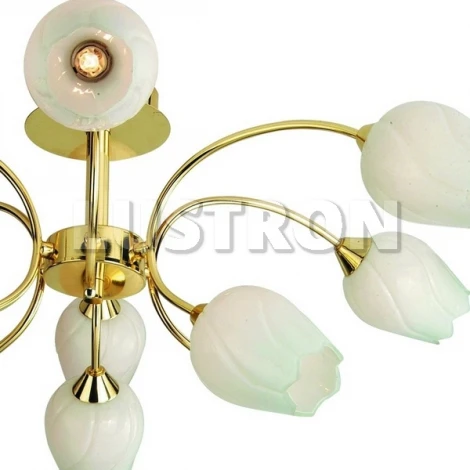 Потолочная люстра Arte Lamp Tulip A8292PL-9PB