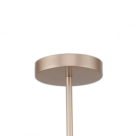 Потолочная люстра на штанге F-Promo Calor 2774-5P (220V)