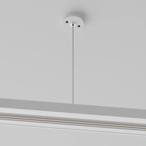 Подвес тросовый 1шт Unity белый (однофазный) Maytoni Technical TRA001CW-11W