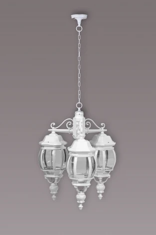 Уличный светильник подвесной Oasis Light America L W 83470L/3