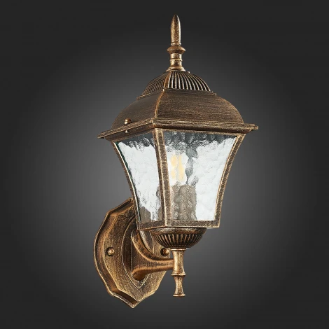 Настенный фонарь уличный ST Luce Domenico SL082.201.01