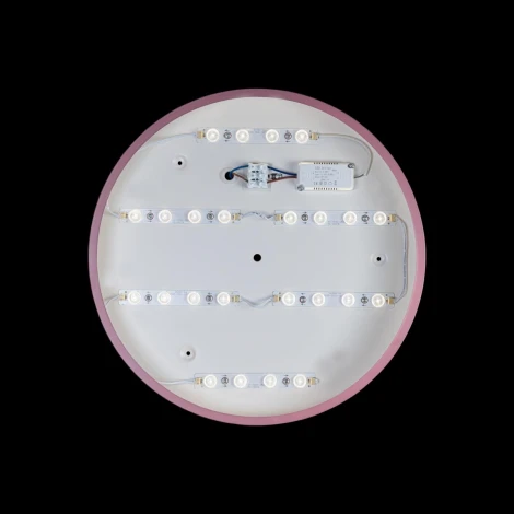 Потолочный светильник круглый Loft IT Axel 10002/24 Pink (LED, 220V, круглые)