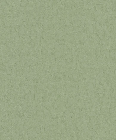 Рулонные обои BN International BN 220073