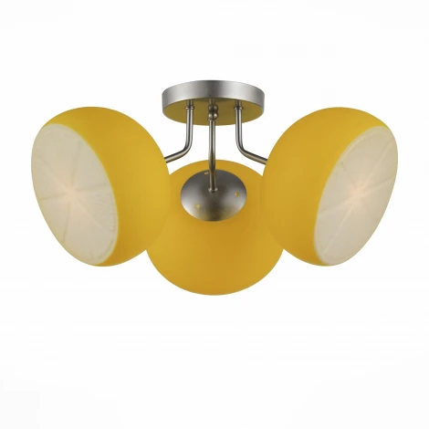 Потолочная люстра ST Luce Arancio SL482.902.03