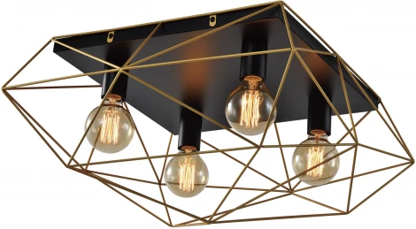 Светильник потолочный Roxana 4097-304 4 х Е27 40 Вт