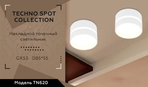 Накладной точечный светильник Ambrella Techno Spot TN620 (220V, круглые)