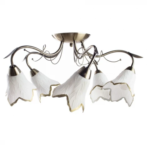 Потолочная люстра Arte Lamp Barbara A6066PL-5AB