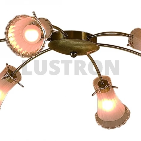 Потолочная люстра Citilux Dana CL106162
