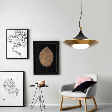 Подвесной светильник Rask ImperiumLoft Rask01 (151756-26) (LED, 220V, на тросе)