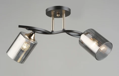 Потолочная люстра на штанге Мелодия Света SL1N SL2171-2 CF+GD 000066060