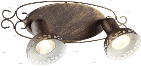 Спот Arte Lamp Focus A5219AP-2BR