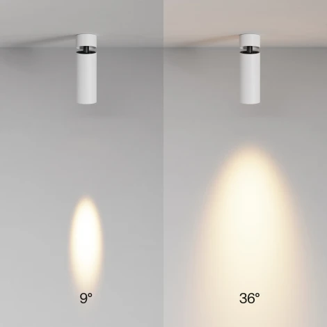 Потолочный светильник накладной Maytoni Focus Led C055CL-L12W2.7K-SS-W