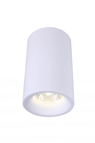 Потолочный светильник Arte Lamp Ugello A3105PL-1WH