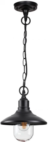 Уличный светильник подвесной Odeon Light Campa 4965/1 (220V, на цепи, круглые, IP44)