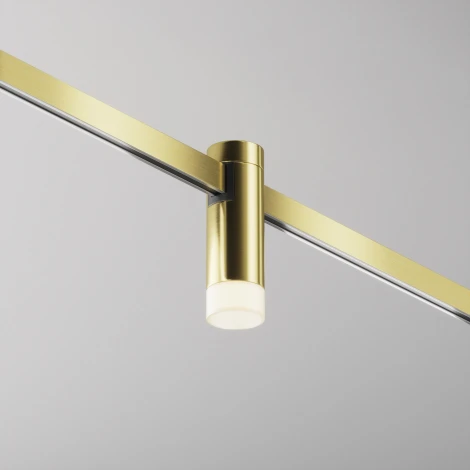 Трековый светильник магнитный 24V 3W Maytoni Skim TR145-1-3W3K-W-BS (LED, круглые)