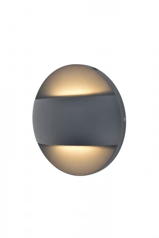 Настенный светильник уличный светодиодный Oasis Light SIDNEY LED W2096-3-3K Gr (220V, IP65)