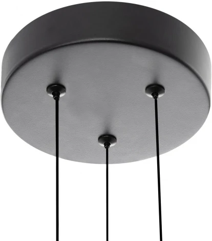 Подвесная люстра Citilux Lucia CL217181 (LED, 220V, на тросе)