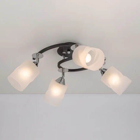 Потолочная люстра Citilux Сиерра CL119241 (220V)